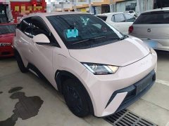 BYD Seagull Glory Edition 305km Vitality Version - ფოტო 4