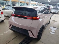 BYD Seagull Glory Edition 305km Vitality Version - ფოტო 7