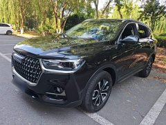 Haval H6 National Trend Edition 1.5T Automatic Urban Version - ფოტო 2