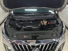 Buick GL8 ES Luxe 653T Comfort - ფოტო 20
