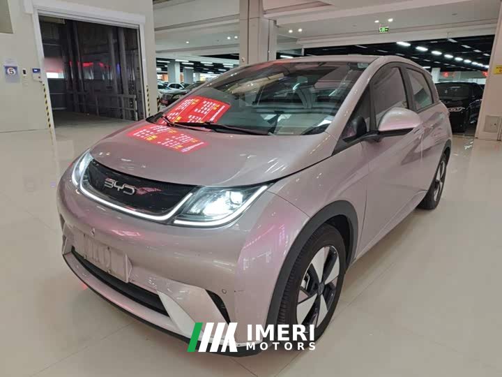 BYD Dolphin 420km Fashion Edition - ავტომობილი ჩინეთიდან