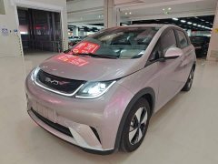 BYD Dolphin 420km Fashion Edition - ფოტო 2