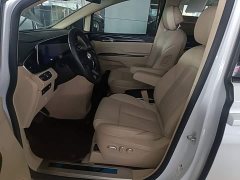 Buick GL8 ES Luxe 653T Prestige - ფოტო 15