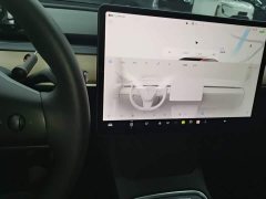Tesla Model 3 2022 Rear-Wheel Drive - ფოტო 13
