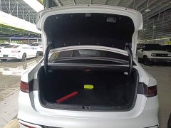 BYD Qin PLUS EV 400KM Luxury - ფოტო 19