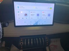 BYD Yuan Plus 2024 Glory Edition 430KM Transcend - ფოტო 13