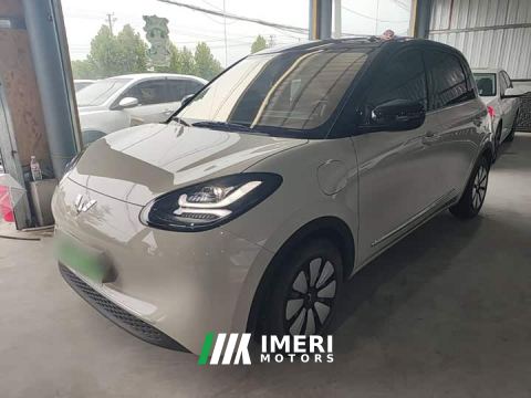 2025 Wuling Binguo 333km Joy Edition