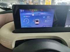 Wuling Binguo 2024 333km Joy Edition - ფოტო 12