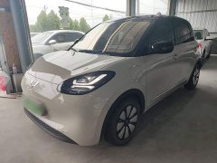 Wuling Binguo 2024 333km Joy Edition - ფოტო 2