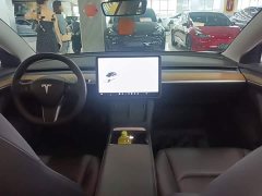 Tesla Model 3 Standard Range RWD Upgrade - ფოტო 10