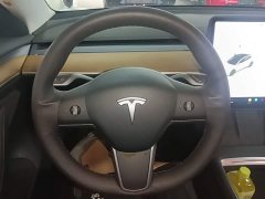 Tesla Model 3 Standard Range RWD Upgrade - ფოტო 11