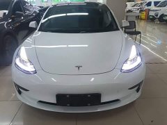 Tesla Model 3 Standard Range RWD Upgrade - ფოტო 3