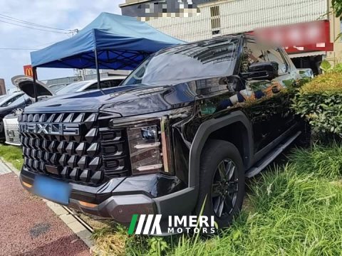 2025 Interstellar X 2.5T Luxury Edition - car from China