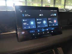 BYD Qin L 2024 DM-i 80KM Elite - ფოტო 13