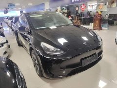 Tesla Model Y 2023 Rear-Wheel Drive - ფოტო 4