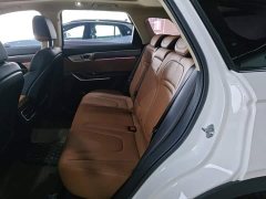 FAW Besturn T99 2.0T Automatic Deluxe Edition (6AT) - ფოტო 17