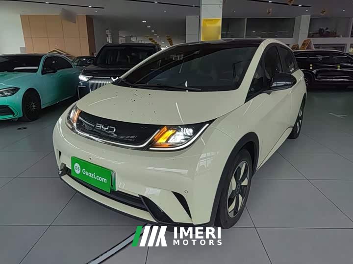 BYD Dolphin Glory Edition 420km Fashion Version