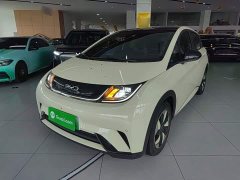 BYD Dolphin Glory Edition 420km Fashion Version - ფოტო 1