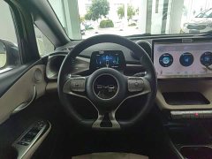 BYD Dolphin Glory Edition 420km Fashion Version - ფოტო 11