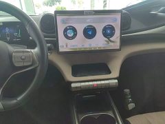 BYD Dolphin Glory Edition 420km Fashion Version - ფოტო 13