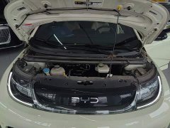 BYD Dolphin Glory Edition 420km Fashion Version - ფოტო 20
