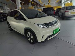 BYD Dolphin Glory Edition 420km Fashion Version - ფოტო 4