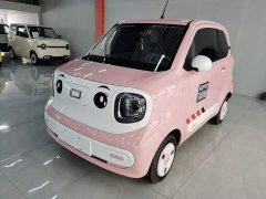 FAW Besturn Xiaoma 222km Lightning Edition - ფოტო 2