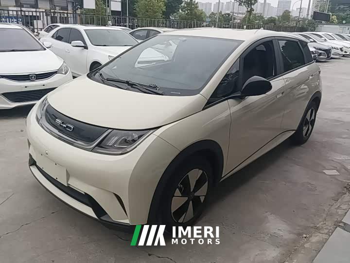 BYD Dolphin 420km Freedom Edition