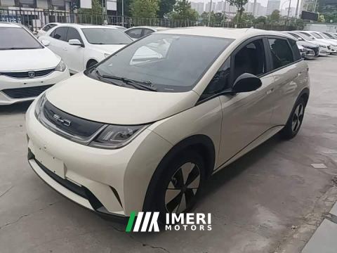 2023 BYD Dolphin 420km Freedom Edition - car from China