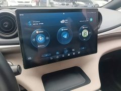 BYD Dolphin 420km Freedom Edition - ფოტო 13