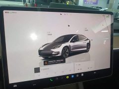 Tesla Model 3 2022 Rear-Wheel Drive - ფოტო 13
