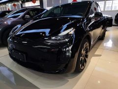 Tesla Model Y Rear-Wheel Drive - ფოტო 1