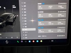 Tesla Model Y Rear-Wheel Drive - ფოტო 12