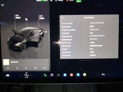 Tesla Model Y Rear-Wheel Drive - ფოტო 13