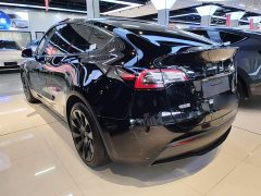 Tesla Model Y Rear-Wheel Drive - ფოტო 5