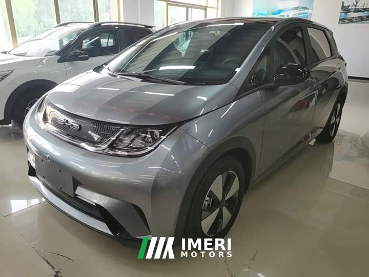 BYD Dolphin 420km Fashion Edition - ავტომობილი ჩინეთიდან