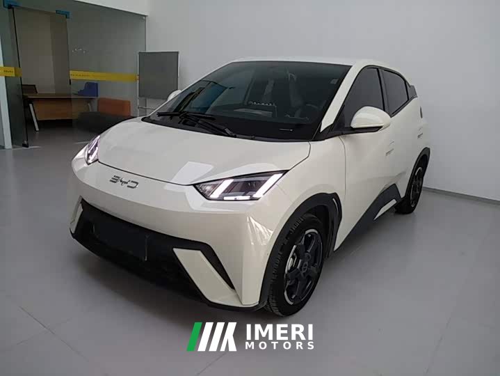 BYD Seagull Glory Edition 305km Freedom Version - ავტომობილი ჩინეთიდან