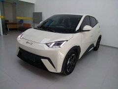 BYD Seagull Glory Edition 305km Freedom Version - ფოტო 1