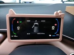 BYD Seagull Glory Edition 305km Freedom Version - ფოტო 12