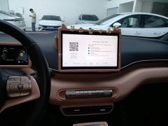 BYD Seagull Glory Edition 305km Freedom Version - ფოტო 13