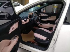 BYD Seagull Glory Edition 305km Freedom Version - ფოტო 16