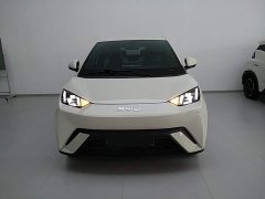 BYD Seagull Glory Edition 305km Freedom Version - ფოტო 3