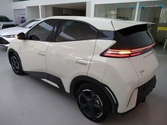 BYD Seagull Glory Edition 305km Freedom Version - ფოტო 5
