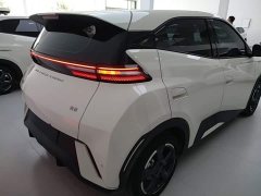 BYD Seagull Glory Edition 305km Freedom Version - ფოტო 6