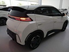 BYD Seagull Glory Edition 305km Freedom Version - ფოტო 7