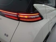 BYD Seagull Glory Edition 305km Freedom Version - ფოტო 8