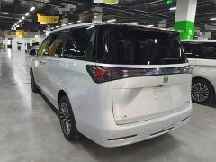 Buick GL8 New Energy Lusang Respect Edition - ფოტო 5