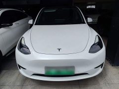 Tesla Model Y Rear-Wheel Drive - ფოტო 3