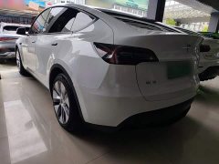 Tesla Model Y Rear-Wheel Drive - ფოტო 5