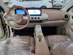 Wuling Binguo 2025 333km Joy Edition - ფოტო 10